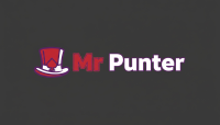 Mr Punter